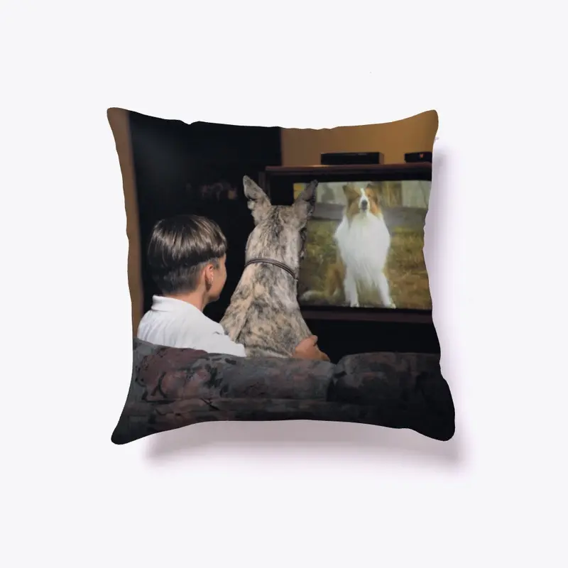 Best of Friends greyhound pillow